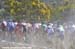 The bunch stirs up a lot of dust at the start 		CREDITS:  		TITLE: MTB World Championships Canberra Australia 		COPYRIGHT: ROB JONES/CANADIAN CYCLIST.COM