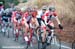 Will Routley was in the break 		CREDITS: Rob Jones 		TITLE: Tour of California 		COPYRIGHT: Rob Jones/www.canadiancyclist.com