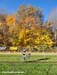 A bit of fall colour still remained 		CREDITS:  		TITLE: 2011 Cyclocross Nationals  		COPYRIGHT: Rob Jones/www.canadiancyclist.com 2011© All rights retained - no use permitted without prior, written permission