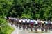 pack starting the first climb of the day 		CREDITS: Jon Safka 		TITLE: 2011 Road Nationals 		COPYRIGHT: Jan Safka 2011© All rights retained - no copying, printing or other manipulation, editing or processing permitted without prior, written permission