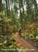 In the woods 		CREDITS:  		TITLE: Daryl-Evans BC Grand Prix of Cyclo-cross 		COPYRIGHT: Rob Jones/www.canadiancyclist.com 2012- copyright- All rights retained - no use permitted without prior, written permission