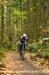 Through the woods 		CREDITS:  		TITLE: Daryl-Evans BC Grand Prix of Cyclo-cross 		COPYRIGHT: Rob Jones/www.canadiancyclist.com 2012- copyright- All rights retained - no use permitted without prior, written permission