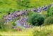 The crowds were impressive on Box Hill 		CREDITS:  		TITLE: 2012 Olympic Games 		COPYRIGHT: Rob Jones/www.canadiancyclist.com 2012 -copyright -All rights retained - no use permitted without prior, written permission