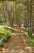 One km into the lap riders face a singletrack climb 		CREDITS:  		TITLE:  		COPYRIGHT: Robert Jones-Canadian Cyclist