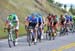 The peloton 		CREDITS:  		TITLE: Tour of Alberta 		COPYRIGHT: Rob Jones/www.canadiancyclist.com 2013 -copyright -All rights retained - no use permitted without prior, written permission