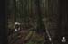 Cutting ribbons in the woods. 		CREDITS:  		TITLE:  		COPYRIGHT: Dave Silver Photography