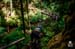 Dropping into the trail before the new Aloha trail section. Raz Dana 		CREDITS:  		TITLE:  		COPYRIGHT: MARGUS RIGA