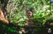 Highspeed tree tunnels were a highlight of the finishing trails. 		CREDITS:  		TITLE:  		COPYRIGHT: MARGUS RIGA