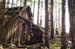 The Shaker Cabin at the top of Wagon Road. 		CREDITS:  		TITLE:  		COPYRIGHT: Dave Silver Photography