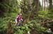 Riders blur thourgh green pastures of salal and moss, stumps are reclaimed back under the living green carpet. 		CREDITS:  		TITLE:  		COPYRIGHT: Dave Silver Photography