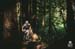 Steve Dempsey climbs under the cool canopy of Canadas west coast Rainforest. 		CREDITS:  		TITLE:  		COPYRIGHT: MARGUS RIGA