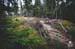 This is Lost Lake in Whistler - it rocks, braappp! 		CREDITS:  		TITLE:  		COPYRIGHT: MARGUS RIGA