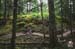 Buff undulating trails punctuate rocky outcrops and swooping fun. 		CREDITS:  		TITLE:  		COPYRIGHT: MARGUS RIGA