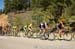 Peloton on the climb 		CREDITS:  		TITLE: USA Pro Challenge, 2014 		COPYRIGHT: © Casey B. Gibson 2014