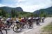 Peloton at McClure Pass 		CREDITS:  		TITLE: USA Pro Challenge, 2014 		COPYRIGHT: © Casey B. Gibson 2014