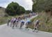 The peloton drops down the final descent 		CREDITS:  		TITLE: 2014 Road World Championships Ponferrada Spain 		COPYRIGHT: Rob Jones/www.canadiancyclist.com 2014 -copyright -All rights retained - no use permitted without prior, written permission