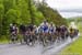 The peloton heads up the first KoM 		CREDITS:  		TITLE: Tour de Beauce 		COPYRIGHT: Rob Jones/www.canadiancyclist.com 2014 -copyright -All rights retained - no use permitted without prior, written permissio