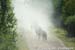 More dust 		CREDITS:  		TITLE: Tour of Alberta, 2014 		COPYRIGHT: © Casey B. Gibson 2014