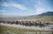 Stage 2 of the 2015 USA Pro Challenge, Steamboat Springs to Arapahoe Basin. 		CREDITS:  		TITLE: USA Pro Challenge, 2015 		COPYRIGHT: ¬© Casey B. Gibson 2015