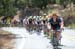 WIll Routley leads peloton 		CREDITS:  		TITLE: Amgen Tour of California, 2015 		COPYRIGHT: © Casey B. Gibson 2015