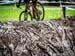 2016 BC Provincial Championships Cyclocross. Photo: Scott Robarts Photography 		CREDITS:  		TITLE:  		COPYRIGHT: Scott Robarts Photography