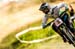 DH MTB World Champs 		CREDITS:  		TITLE: DH MTB World Champs 		COPYRIGHT: Sven Martin 2016