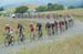 Stragglers on Kings Ridge Road 		CREDITS: Casey B. Gibson 		TITLE: Amgen Tour of California, 2016 		COPYRIGHT: © Casey B. Gibson 2016