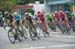 Peloton 		CREDITS: Casey B. Gibson 		TITLE: Amgen Tour of California, 2016 		COPYRIGHT: © Casey B. Gibson 2016