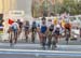 Sagan realizes he has it 		CREDITS:  		TITLE: 2016 Road World Championships, Doha, Qatar 		COPYRIGHT: Rob Jones/www.canadiancyclist.com 2016 -copyright -All rights retained - no use permitted without prior; written permission