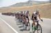 Jelly Belly at the front of teh bunch 		CREDITS: Casey B. Gibson 		TITLE: 2016 Tour of Utah 		COPYRIGHT: © Casey B. Gibson 2016