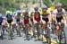 CREDITS: Casey B. Gibson 		TITLE: 2016 Tour of Utah 		COPYRIGHT: ¬© Casey B. Gibson 2016