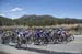 Peloton 		CREDITS:  		TITLE: Amgen Tour of California, 2017 		COPYRIGHT: ?? Casey B. Gibson 2017