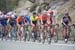 CREDITS:  		TITLE: 2018 Amgen Tour of California 		COPYRIGHT: ?? Casey B. Gibson 2018