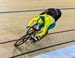 Bronze final: Muhammad Shah Firdaus Sahrom (Malaysia) vs Jacob Schmid (Australia) 		CREDITS:  		TITLE: Commonwealth Games, Gold Coast 2018 		COPYRIGHT: Rob Jones/www.canadiancyclist.com 2018 -copyright -All rights retained - no use permitted without prior