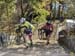 Magnus Sheffield (USA) Cannondale pb Cyclocrossworld 		CREDITS:  		TITLE: 2018 Pan American Continental Cyclo-cross Championships 		COPYRIGHT: Rob Jones/www.canadiancyclist.com 2018 -copyright -All rights retained - no use permitted without prior, written