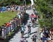 The leg killer of a climb 		CREDITS:  		TITLE: World Cup Lenzerheide XCC, 2019 		COPYRIGHT: Rob Jones/www.canadiancyclist.com 2019 -copyright -All rights retained - no use permitted without prior, written permission