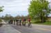 Mens peloton 		CREDITS:  		TITLE: Steve Bauer Classic - Ontario Provincial Road Race Championships 		COPYRIGHT: ¬© 2019 Ivan Rupes