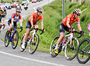 %_tempFileNameCANRN2019_DSC8217%