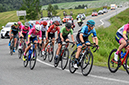 %_tempFileNameCANRN2019_DSC8223%