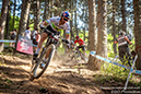 %_tempFileName190705_34312_Vallnord_XCC_ME%