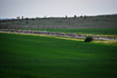 _FR64598A