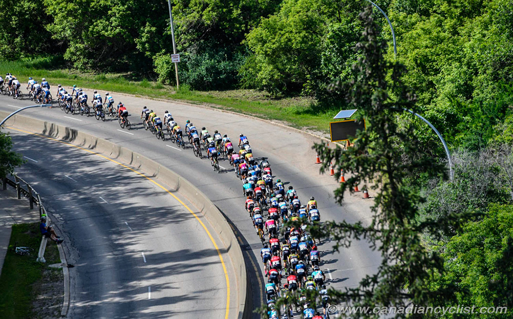 %_tempFileName2022RDNats_DSC4822%