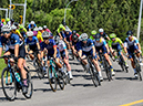 %_tempFileName2022RDNats_DSC4540%