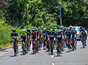 %_tempFileName2022RDNats_DSC4011%