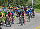 %_tempFileName2022RDNats_DSC4041%