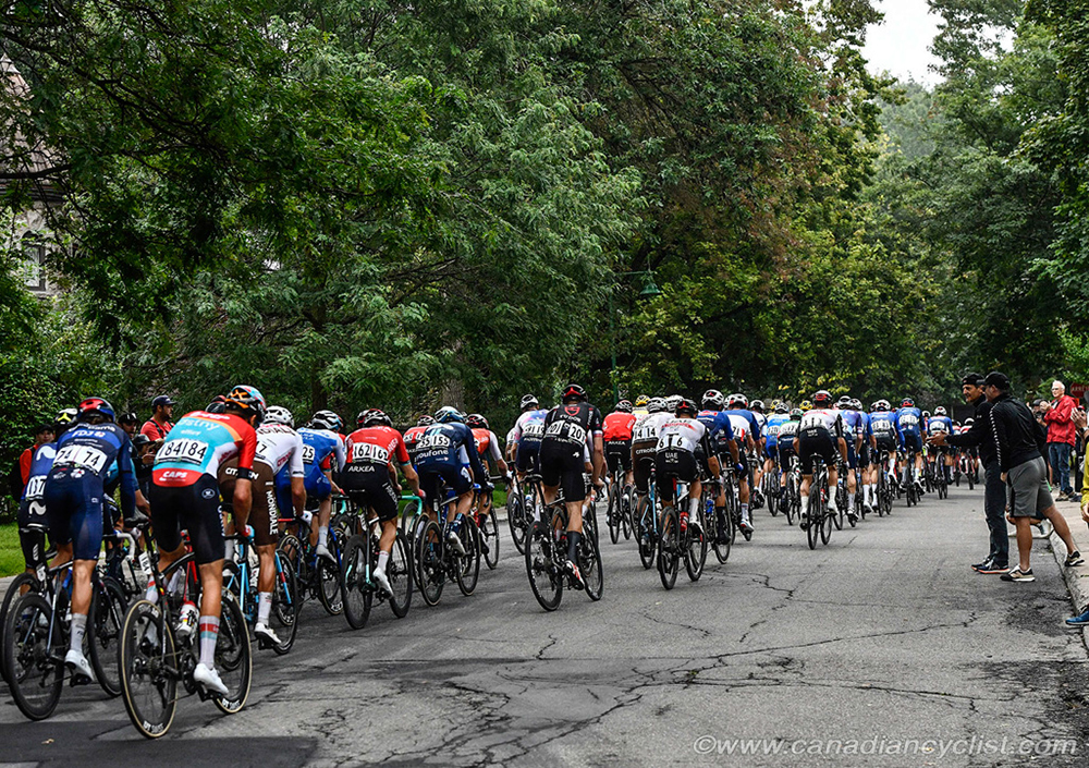 %_tempFileNameGPCQM23_DSC5004%