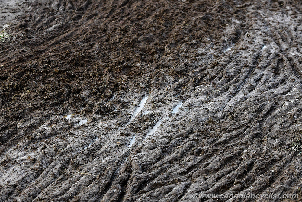 %_tempFileName2025CXNATS_DSC3000%