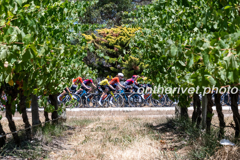 %_tempFileNameGMC_9374%