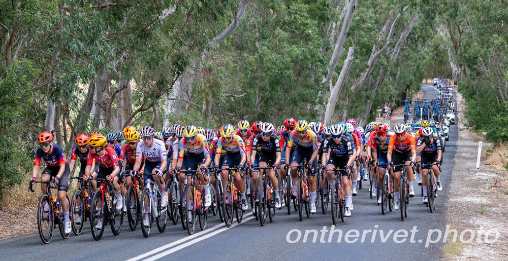 %_tempFileNameGMC_9858%